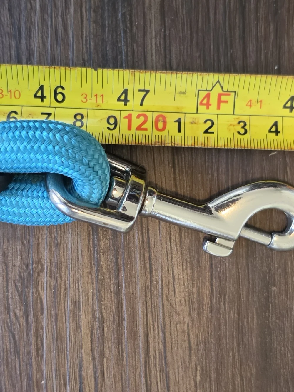 Blue Dog Rope Leash with Padded Handle